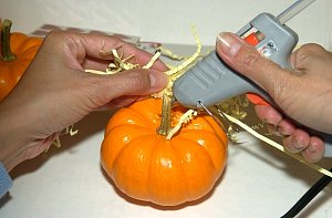 08.jpg