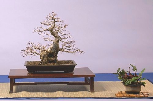 DSC_0026_web.jpg