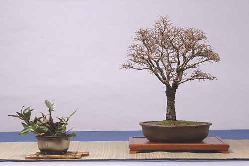 DSC_0027_web.jpg