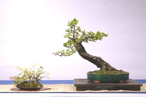 DSC_0030_web.jpg