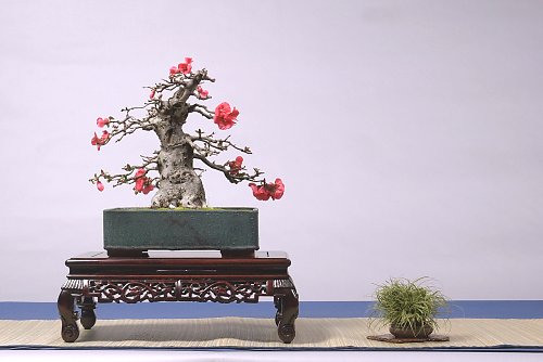 DSC_0033_web.jpg