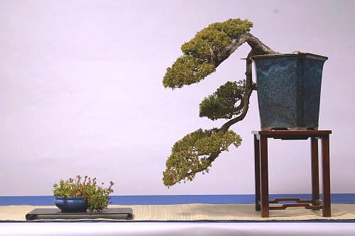 DSC_0038_web.jpg