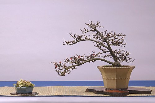 DSC_0041_web.jpg