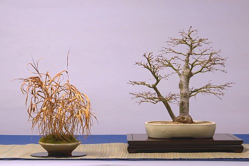 DSC_0042_web.jpg