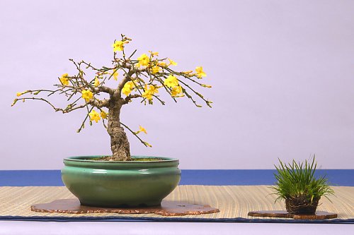 DSC_0045_web.jpg