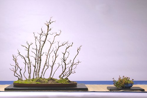 DSC_0046_web.jpg