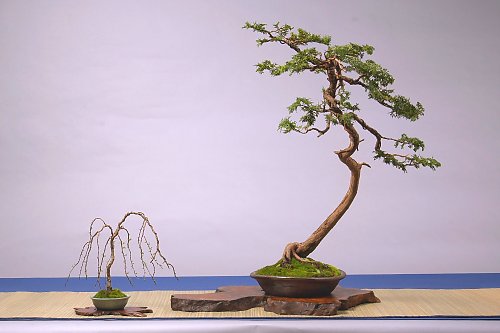 DSC_0049_web.jpg