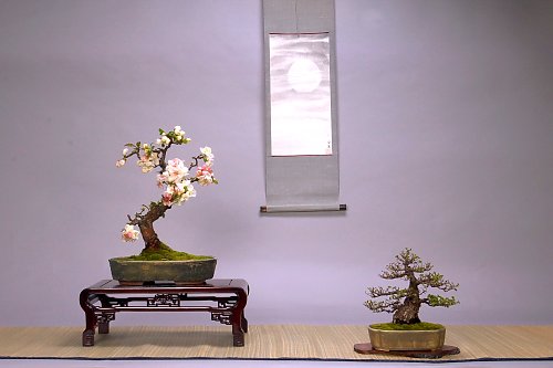 DSC_0051_web.jpg