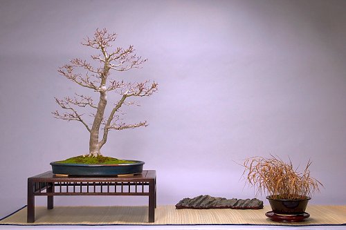 DSC_0052_web.jpg