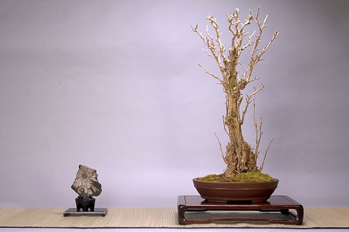 DSC_0057_web.jpg