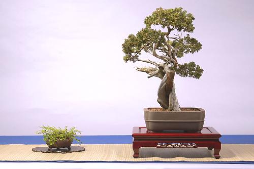 DSC_0066_adj.jpg