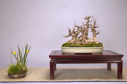 DSC_0070_web.jpg
