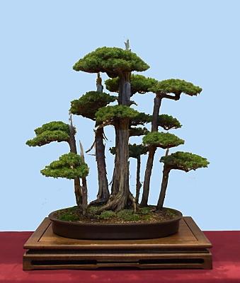 Dsc_0066_sm.jpg