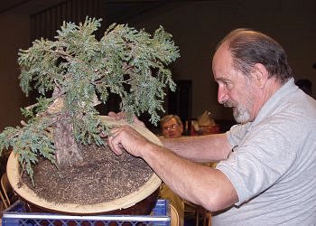 Pa042876_adj_sm.jpg