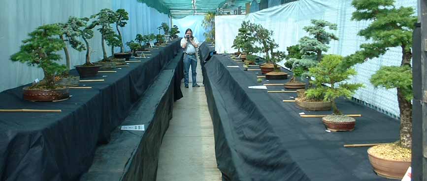 Display_1.jpg