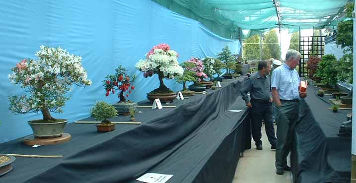 Display_2.jpg