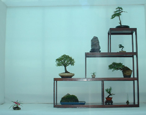 Philip_Shohin_Display.jpg