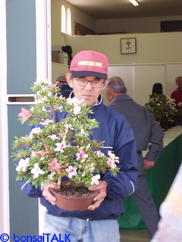 P5195744_adj_sm.jpg