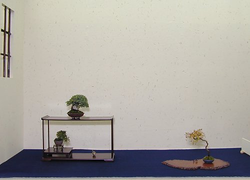 18Dscn3763_sm.jpg
