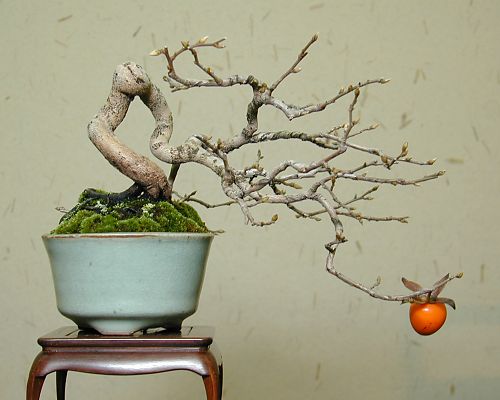 13Dscn3573_sm.jpg