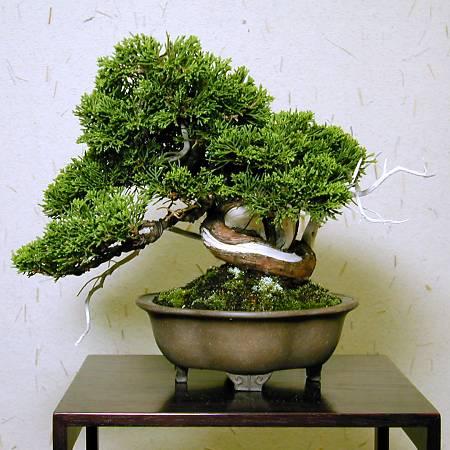 14Dscn3598_sm.jpg