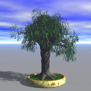 Baobab1.jpg