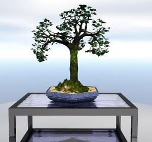 Ginkgo.jpg
