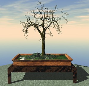 JAPANESEMAPLE.jpg