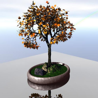 Silvermaple1.jpg