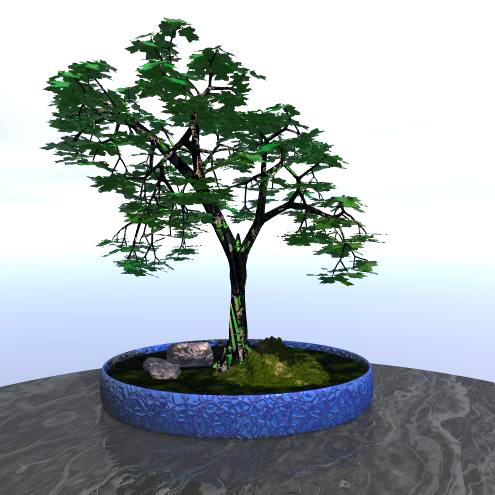 TULIPTREE2.jpg