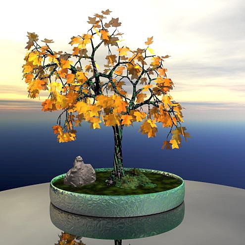 TULIPTREEAUTUMN2.jpg