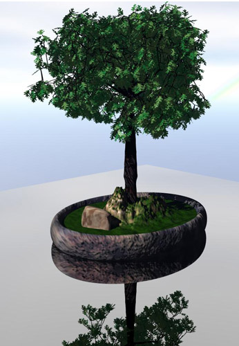 WhiteOAK1.jpg